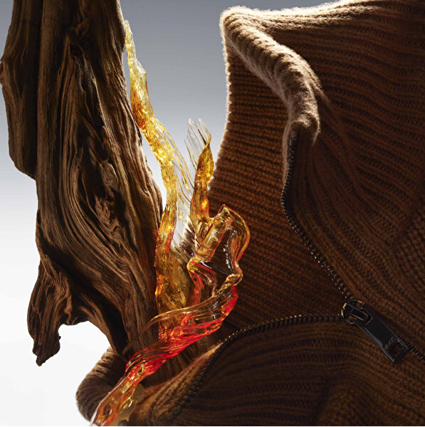 Boss Noble Wood - EDP