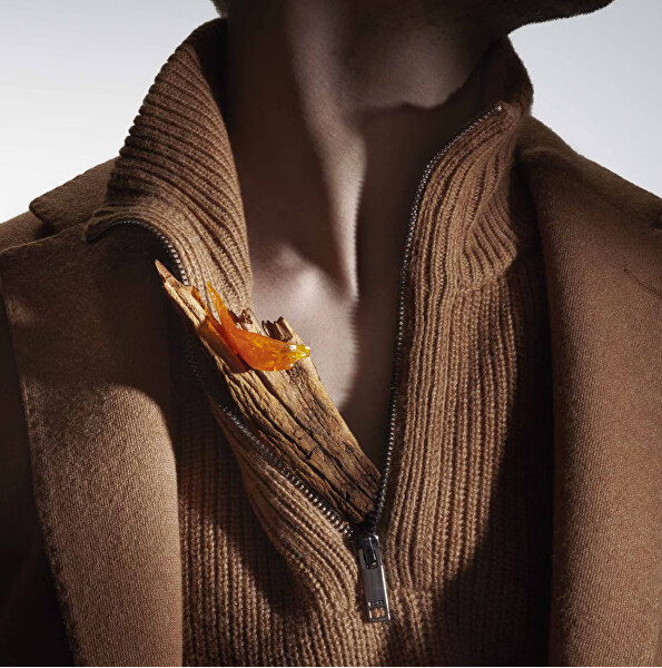 Boss Noble Wood - EDP