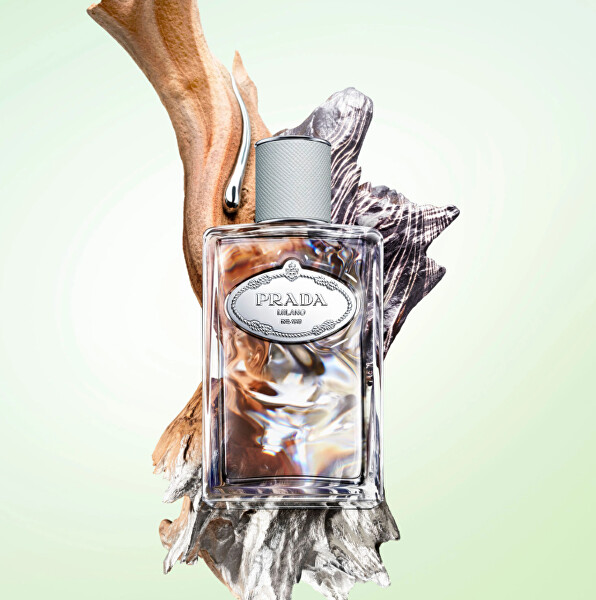 Infusion De Cèdre - EDP