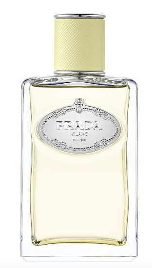 Infusion De Gingembre - EDP