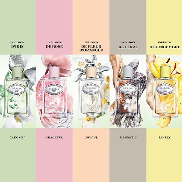 Infusion De Gingembre - EDP