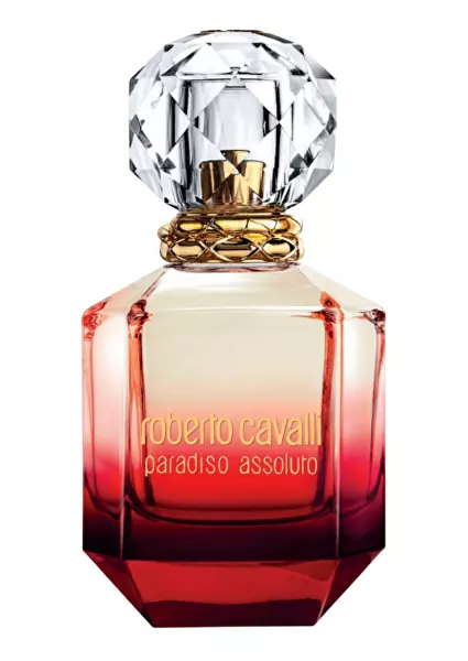 50 ml, pRB04650