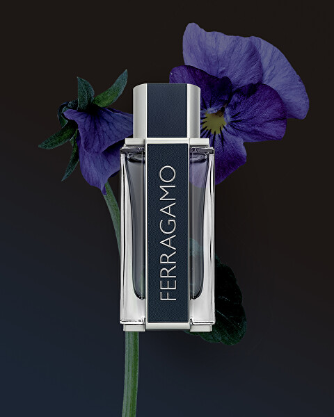 Ferragamo - EDT 100 ml + 2v1 sprchový gel a šampon 100 ml + EDT 15 ml