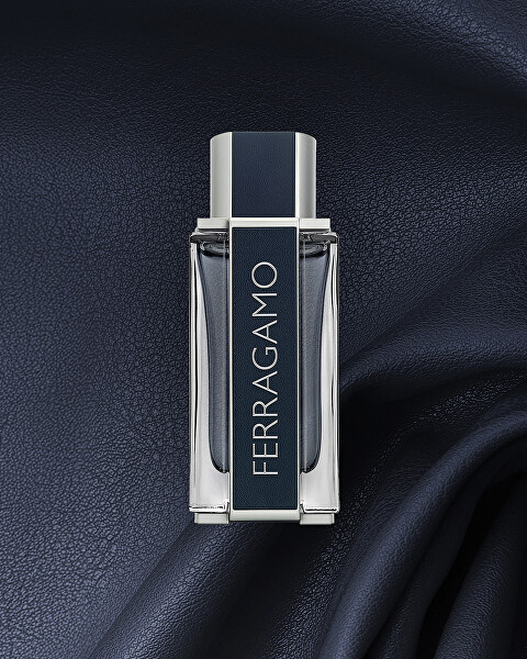 Ferragamo - EDT 100 ml + 2v1 sprchový gel a šampon 100 ml + EDT 15 ml