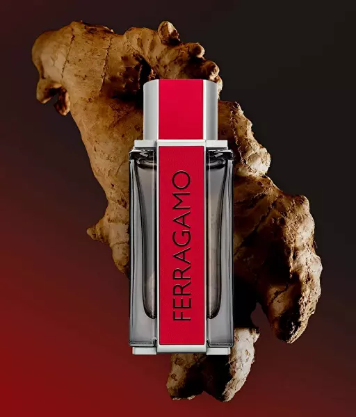 Ferragamo Red Leather - EDP