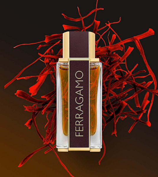 Ferragamo Spicy Leather Pour Homme Special Edition - parfém