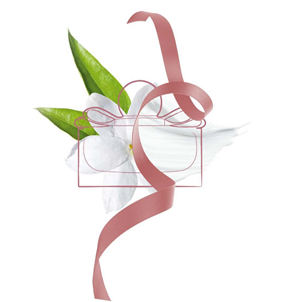 Signorina - EDP