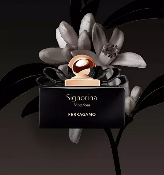 Signorina Misteriosa - EDP