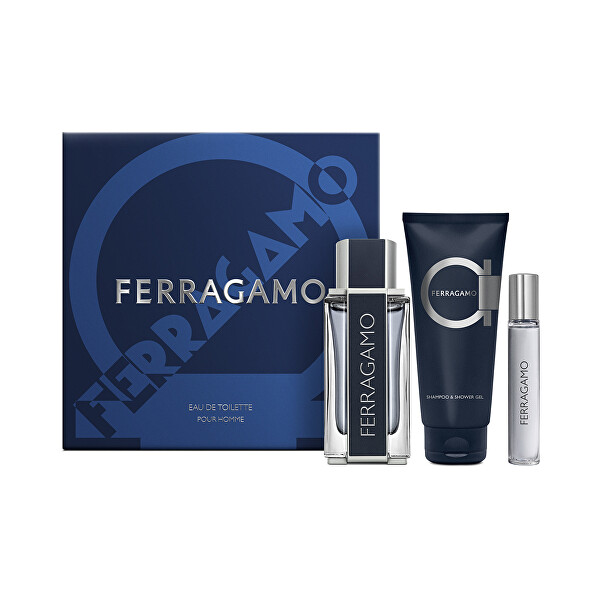 Ferragamo - EDT 100 ml + 2v1 sprchový gel a šampon 100 ml + EDT 15 ml