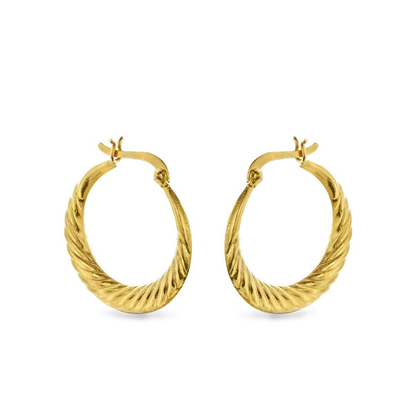 Orecchini di design a cerchio placcati in oro AJNS0063