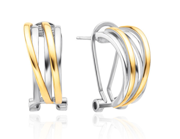 Elegantní bicolor náušnice se zirkony AGT-E122KK-2T