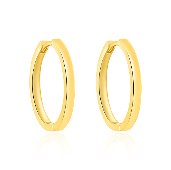 Pozlacené kruhové náušnice AGT-E251K-GOLD