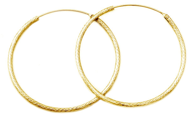 Luxuriöse vergoldete Ohrringe Kreise aus Silber AGUC1240/N-GOLD