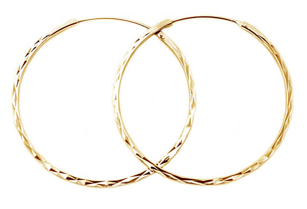 Moderni orecchini a cerchio in argento placcato oro AGUC2439/SCS-GOLD