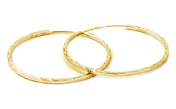 Moderni orecchini a cerchio in argento placcato oro AGUC2439/SCS-GOLD