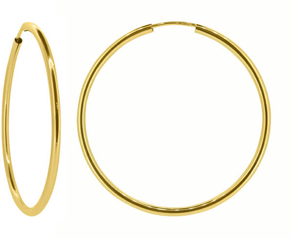 Dámské náušnice kruhy ze žlutého zlata P005.750112005.75