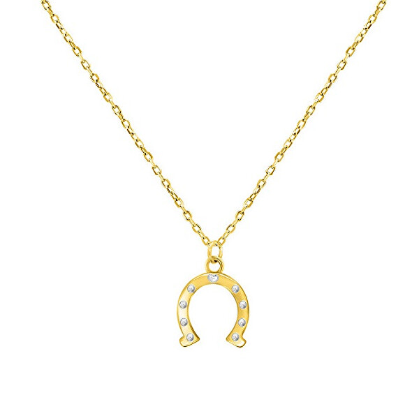 Vergoldete Halskette für Glück Hufeisen NCL66Y (Halskette, Anhänger)