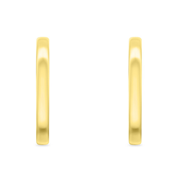 Elegante vergoldete Ohrringe mit Zirkonen EA992Y