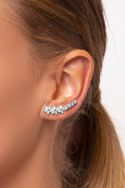 Particolari orecchini in argento con zirconi EA81W