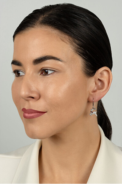 Hravé stříbrné náušnice Sob EA1246W