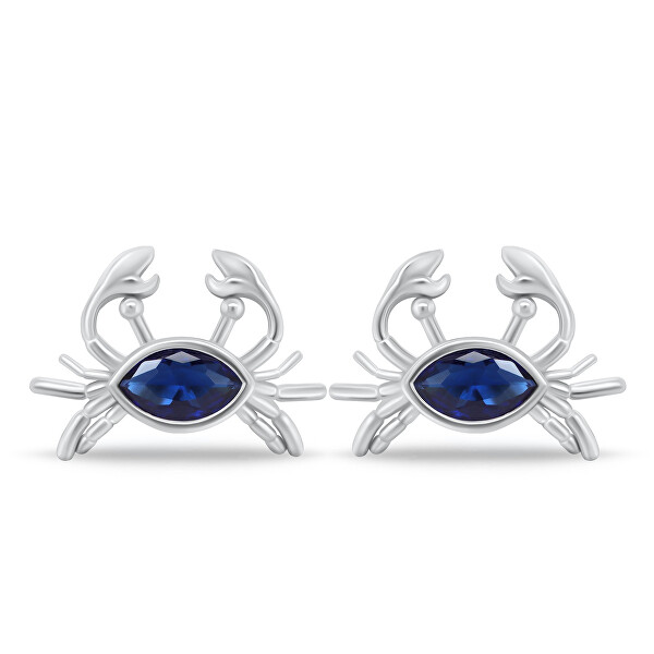 Splendidi orecchini in argento con zircone blu Granchio EA862W