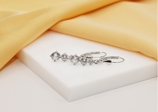 Splendidi orecchini in argento con zirconi EA656W