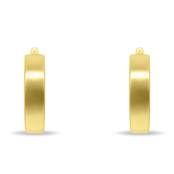 Minimalistische vergoldete runde Ohrringe EA204Y