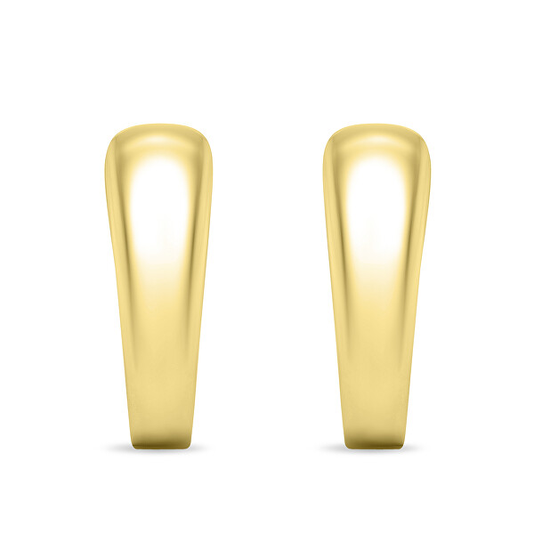 Minimalist Romantische vergoldete Ohrringe EA485Y