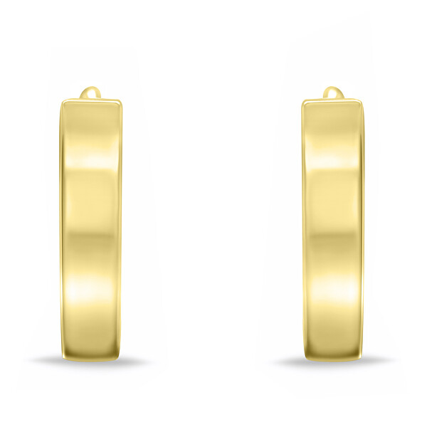 Minimalistische vergoldete Ohrringe EA687Y