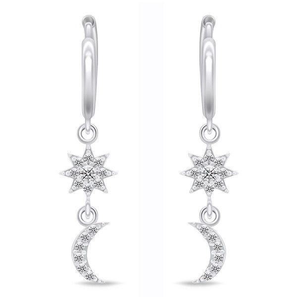 Splendidi orecchini in argento con zirconi EA793W