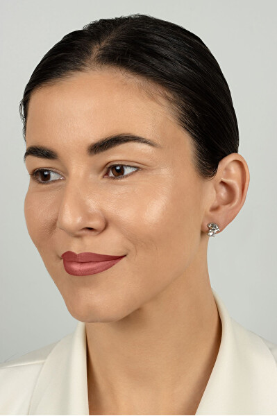 Roztomilé stříbrné náušnice Pejsci EA1204W