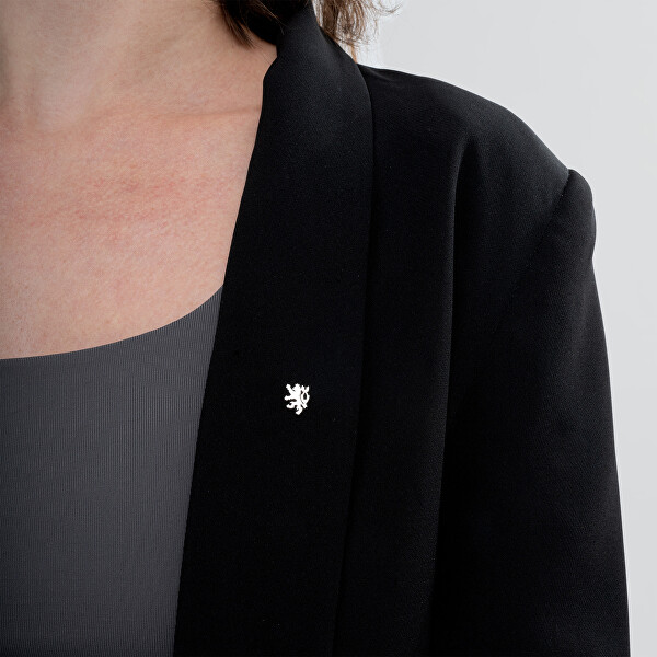 Stříbrná brož Český lev 481 001 00147 04