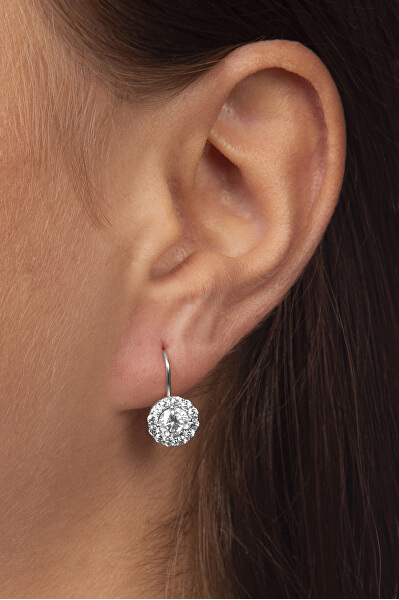 Silberne Ohrringe mit Kristallen 436 001 00498 04