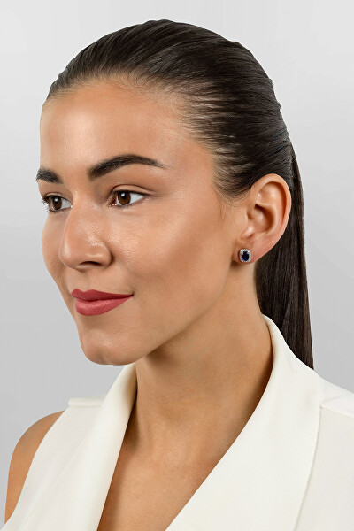 Silberne Ohrringe mit Zirkonen im Prinzessinnen-Stil Kate EA578WB