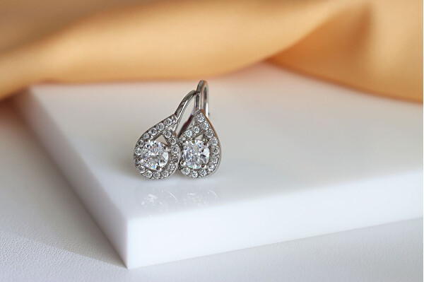 Glitzernde Silberne Ohrringe mit klaren Zirkonen EA756W