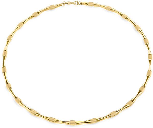 Pozlacený titanový náhrdelník 08045-03