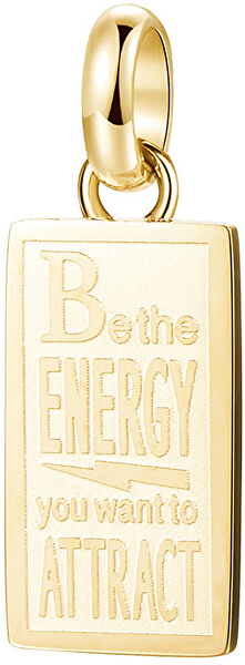 Pandantiv din oțel placat cu aur Energy Très Jolie BTJM286