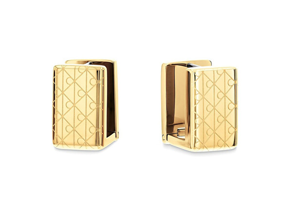 Pozlacené obdélníkové náušnice Iconic 35000890