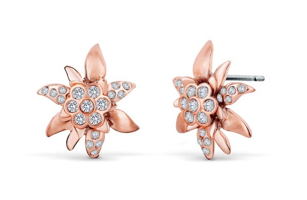 Eleganti orecchini placcati in oro rosa Stella alpina con cristalli 4150.RG