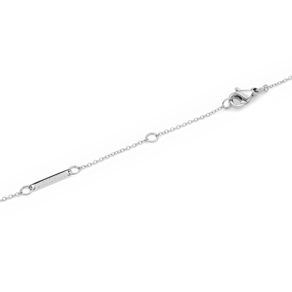 Nadčasový ocelový náhrdelník znamení Lev Crystal Zodiac DW00400947