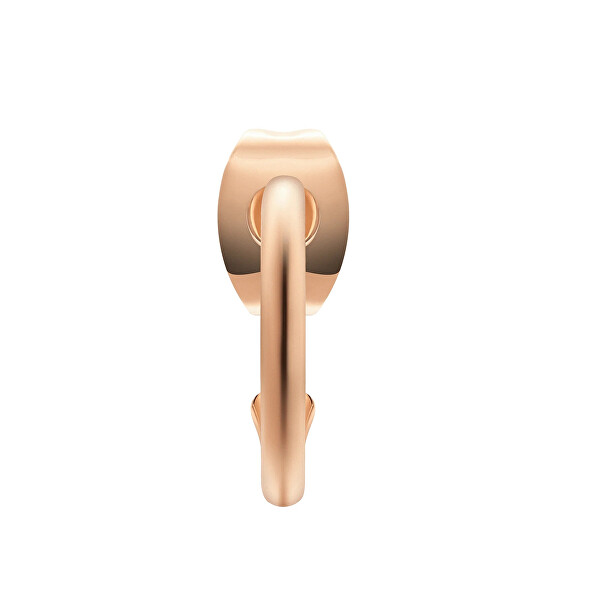 Pozlacené kruhové náušnice Charms DW00400767