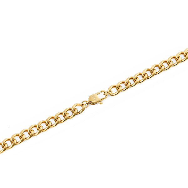 Pozlacený unisex náhrdelník z oceli Ellipse DW00402102