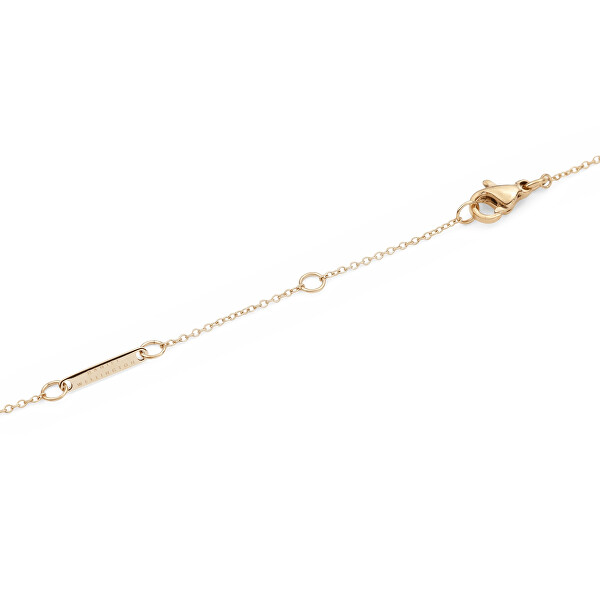 Nadčasový pozlacený náhrdelník znamení Blíženci Crystal Zodiac DW00400921