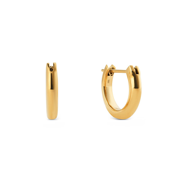 Elegantné pozlátené kruhy z ocele Arch DW0040194