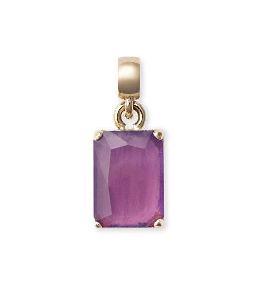 Překrásný pozlacený přívěsek s ametystem Charms DW00401471