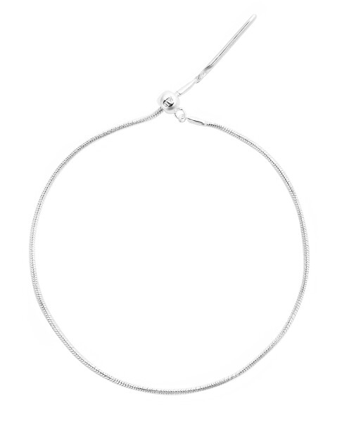 Stříbrný náramek na přívěsky Hádek Charms DW00401047