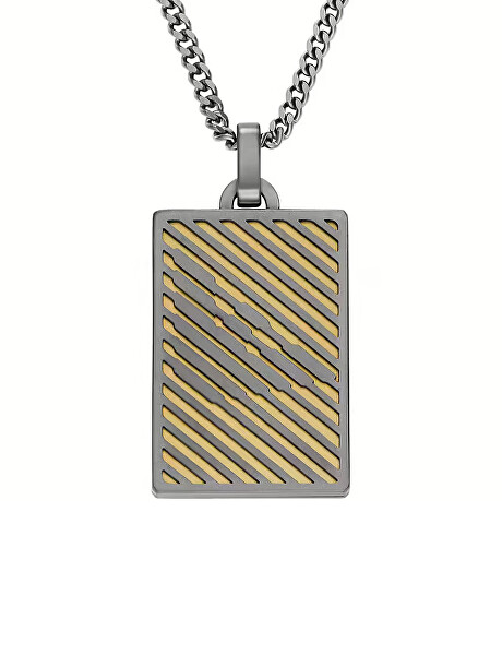 Stylový bicolor náhrdelník z oceli Psí známka EGS3239060