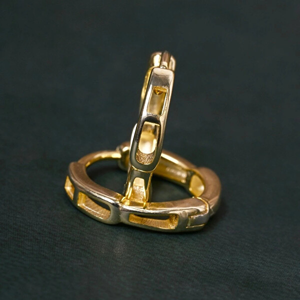 Elegantní pozlacené kruhy 61158