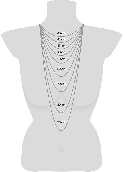 Ezüst nyaklánc köbös cirkóniummal ERN-80-LILMOONZ