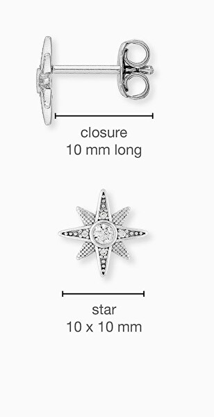Třpytivé stříbrné náušnice s kubickými zirkony Hvězdičky ERE-NSTAR-ZI-ST